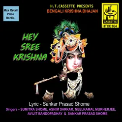 Hey Sree Krishna